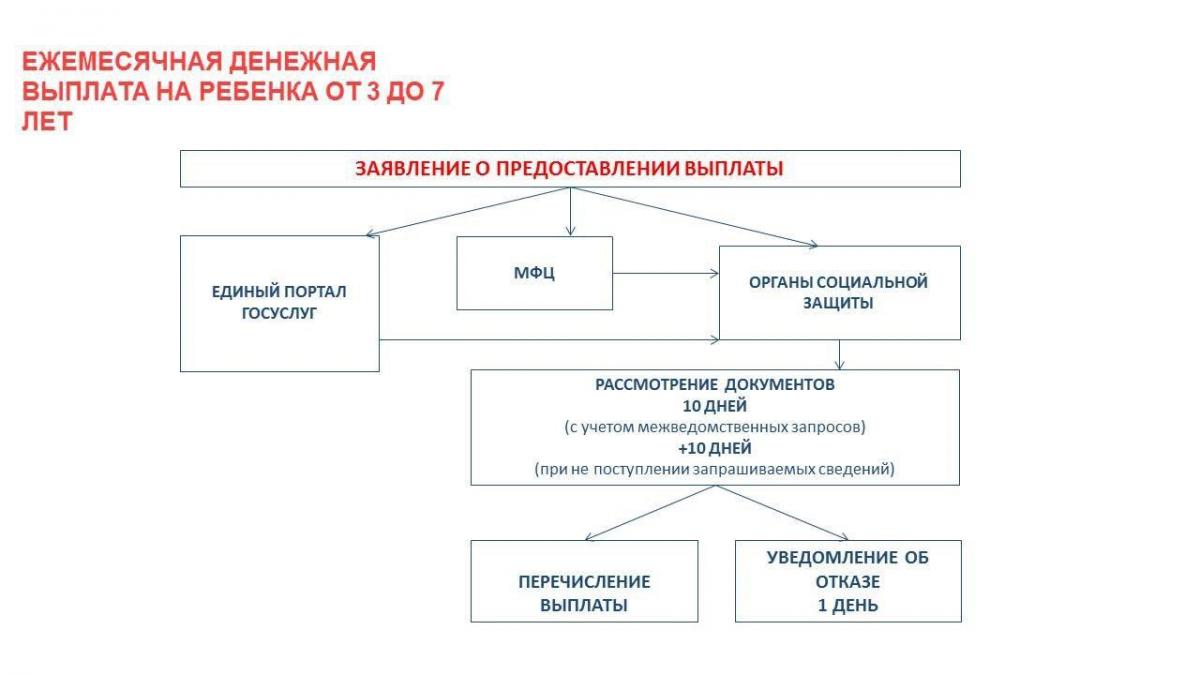 Социальные выплаты | Администрация городского округа Люберцы Московской  области